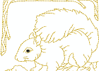 rwsquirrel 003