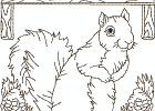 rwsquirrel 004