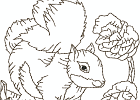 rwsquirrel 006