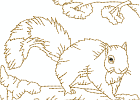 rwsquirrel 007