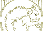 rwsquirrel 008
