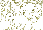 rwsquirrel 009