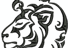 wildanimalheads lion