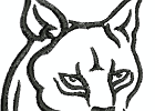 wildanimalheads lynx