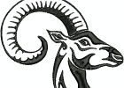 wildanimalheads ram