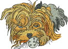 yorkie7