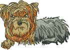 yorkie9