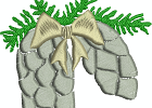JBS-Pinecones